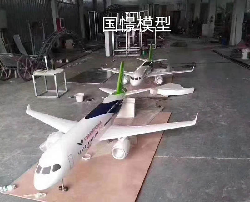 安平县飞机模型