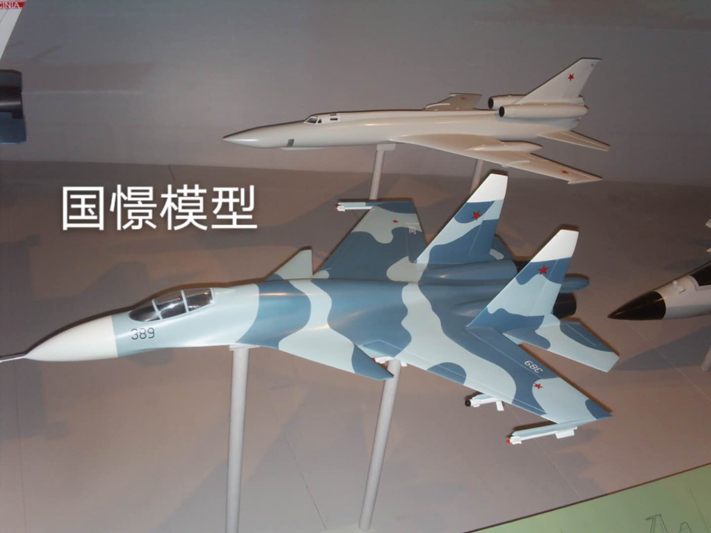 安平县军事模型